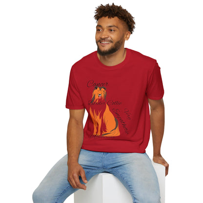 Border Collie Lover Unisex Softstyle T-Shirt - Express Your Affection for This Adorable Breed